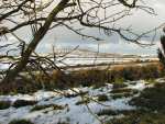 Bodmin Moor in the snow