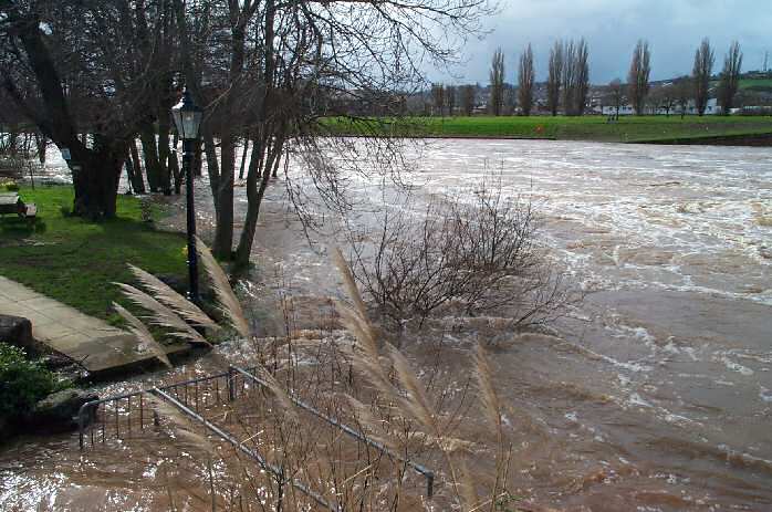 River Exe in flood