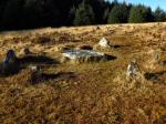 Bellever Stone Ring Cairn and Kistvaen 13a