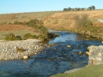 River Plym, near Cadover Bridge, Dartmoor