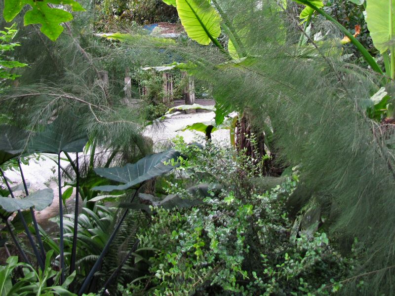 Inside the Rainforest Biome